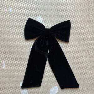 J Crew Velvet Hair Clip